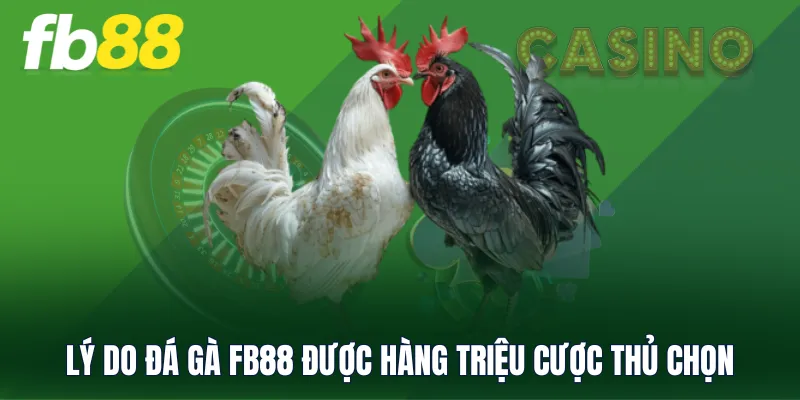 Lý do Đá Gà FB88 được hàng triệu cược thủ chọn